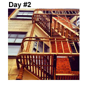 Day Two: Look up & Escape!